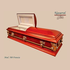 500 Francia (H-Plastico)